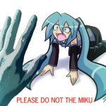 please do not the miku