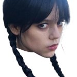 Wednesday Addams's head
