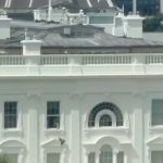 White House Bin Bags