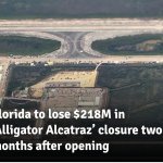 Alligator