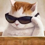 gato lentes