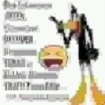Daffy Duck low quality