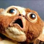 Shocked gizmo