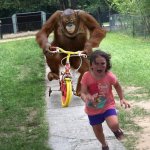 Orangu chasing kid