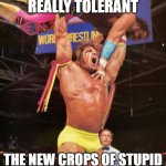 slammin' | I USED TO BE REALLY TOLERANT; THE NEW CROPS OF STUPID HAVE BROUGHT ME TO THIS | image tagged in slammin' | made w/ Imgflip meme maker