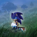 Sonic praying meme
