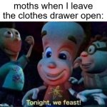 NO NOT MY SHIRT NOOOOOOOO | moths when I leave the clothes drawer open: | image tagged in tonight we feast,moths,moth,clothes,clothing | made w/ Imgflip meme maker