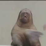 Clapping Seal