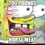 200 pounds horse meat
