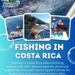 Fishing In Costa Rica