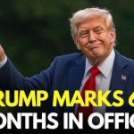 trump meme