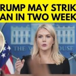 news reporter meme