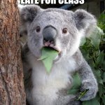Surprised Koala | ME WHEN I AM LATE FOR CLASS; BRO | image tagged in memes,surprised koala | made w/ Imgflip meme maker