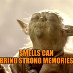 Smells can bring back strong memories | SMELLS CAN BRING STRONG MEMORIES | image tagged in memories,smells,senses,trigger | made w/ Imgflip meme maker