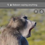 Baboon saying anything