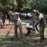 Department of Mulch