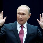 Putin, absolute cinema, cinema