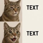 Kombucha Cat template