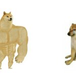 chad doge sad doge