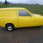 yellow reliant robin