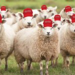 We do whatever Trump says