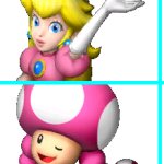 Princess Peach & Toadette