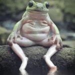 chill frog