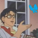 Is this a pigeon