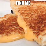 find greg | FIND ME | image tagged in grilled cheese | made w/ Imgflip meme maker
