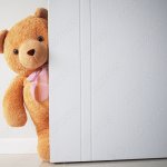 bear behind door