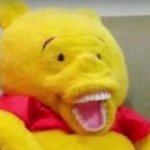 Pooh Merluzo