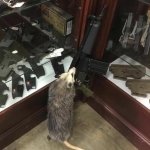 gun rat
