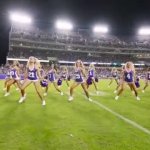 Cheerleaders tcu showgirls sexy dance GIF Template