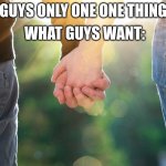 Holding hands again | 'GUYS ONLY ONE ONE THING'; WHAT GUYS WANT: | image tagged in holding hands again | made w/ Imgflip meme maker