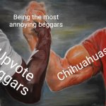 Same thing | Being the most annoying beggars; Chihuahuas; Upvote Beggars | image tagged in memes,epic handshake,upvote begging,annoying,beggar,funny | made w/ Imgflip meme maker