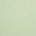 pale green photo with no words