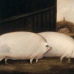 shared porker temp