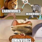can you relate | CARNIVORES; HERBIVORES; OMNIVORES | image tagged in tom and jerry swordfight | made w/ Imgflip meme maker
