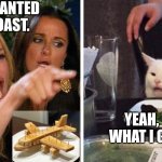Smudge that darn cat with Karen | I SAID I WANTED PLAIN TOAST. YEAH, THAT'S WHAT I GAVE YOU | image tagged in smudge that darn cat with karen | made w/ Imgflip meme maker