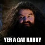 Who's a good kitty cat | YER A CAT HARRY | image tagged in hagrid yer a wizard | made w/ Imgflip meme maker