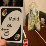 UNO Draw 25 Cards Meme | Mold | image tagged in memes,uno draw 25 cards | made w/ Imgflip meme maker