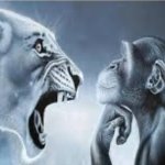 Lion and Monke