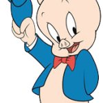 Happy porky pig
