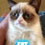 Grumpy Cat | I'M FAT AND WEIRD; FAT | image tagged in memes,grumpy cat | made w/ Imgflip meme maker