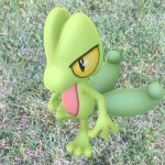 Just Showed Up | WHERE | image tagged in just showed up,pokemon | made w/ Imgflip meme maker