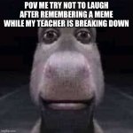 … | POV ME TRY NOT TO LAUGH AFTER REMEMBERING A MEME WHILE MY TEACHER IS BREAKING DOWN | image tagged in donkey staring | made w/ Imgflip meme maker