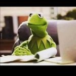 Frog notices the public