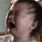 1 GIF Template