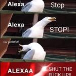 Alexa Stop