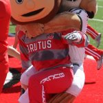 Bobcat Assaults Brutus